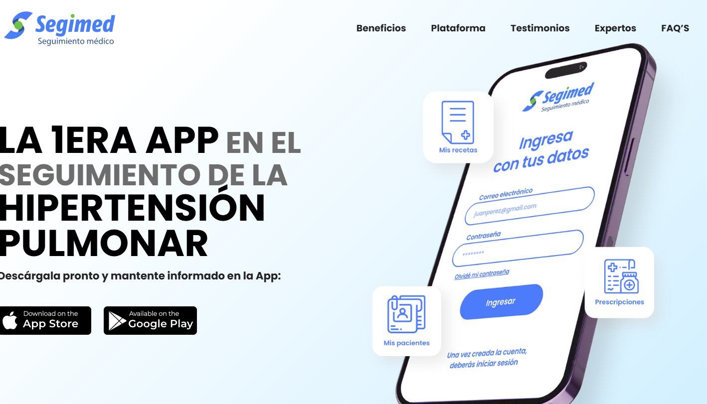 Vista previa del proyecto 2